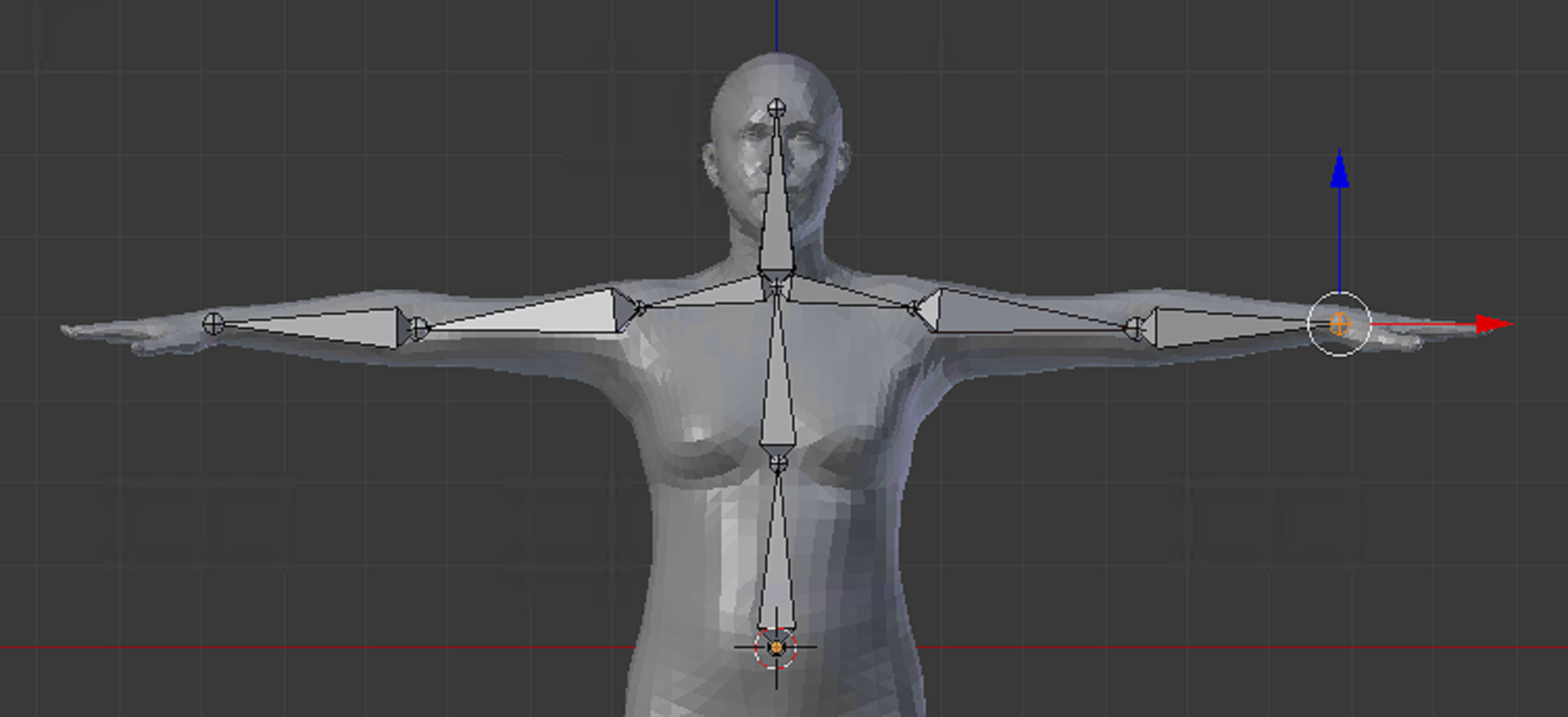 使用Blender建立人体骨架并绑定网格模型